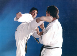 Karate Windsor - ash_school