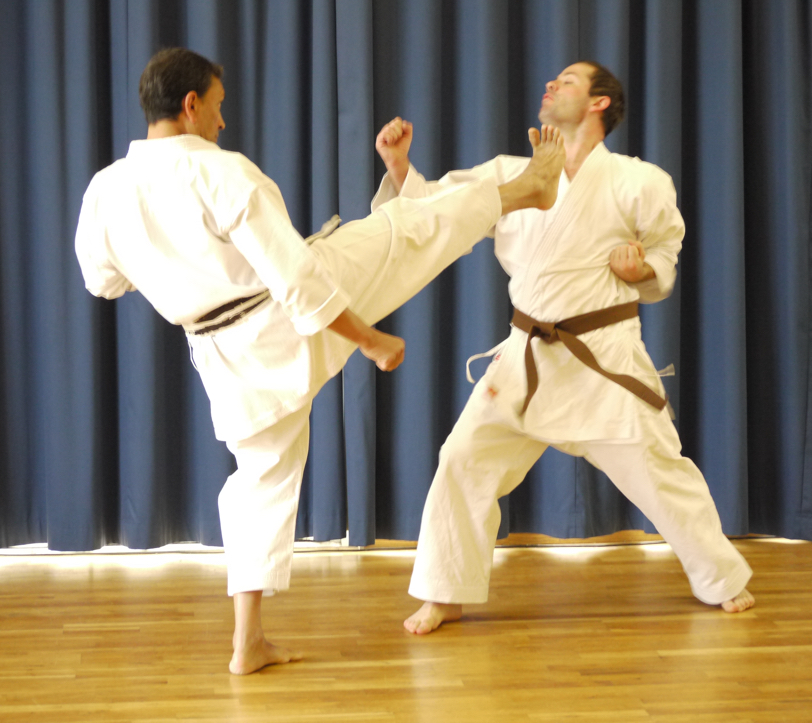 Windsor Karate - Adult Karate Photo