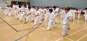 Children Karate Class