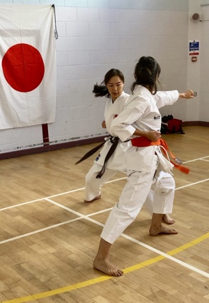 Ladies Practising Karate Japan Ladies Practising Karate Japan